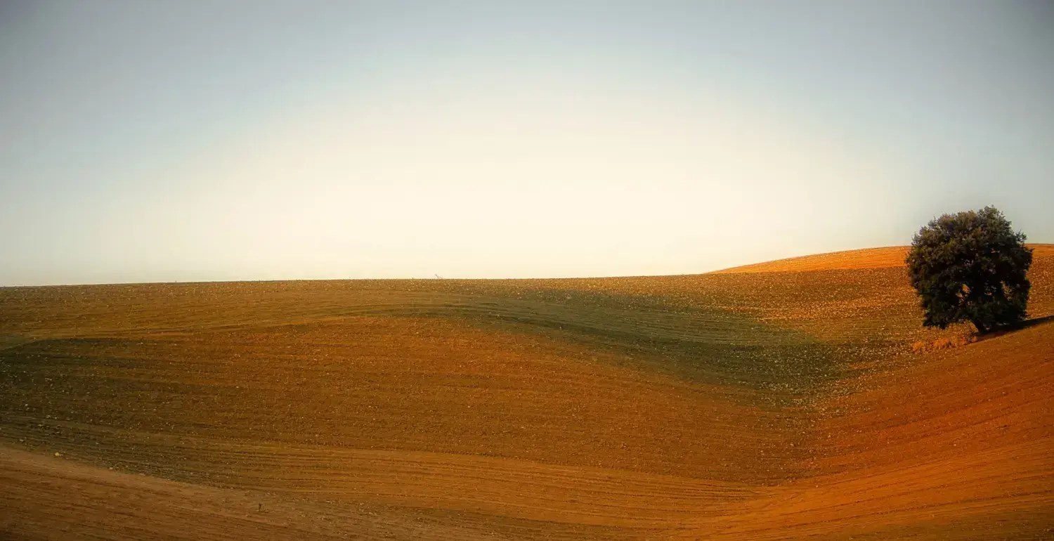 Tierras de secano en altura